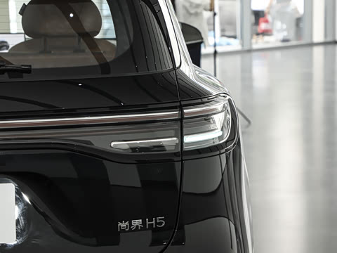 2025�� ���� Max ������