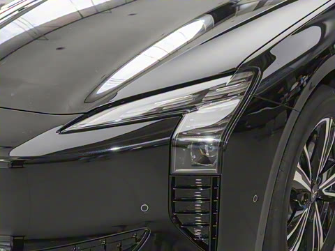 2025�� 690 ��ѡ��