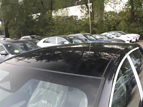 2025�� ����600 Pro