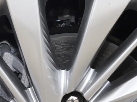 2026�� ������Plus ����Avenir��ά��