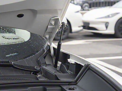 2026�� ���� 52 Max