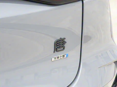 2025�� �Ǽݰ� DM-i 175KM �����