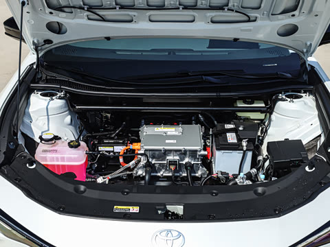 2026�� ������ JOY