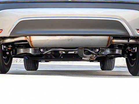 2026�� 300 ����������