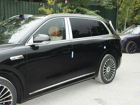 2025�� ���� Max+ ������������ 