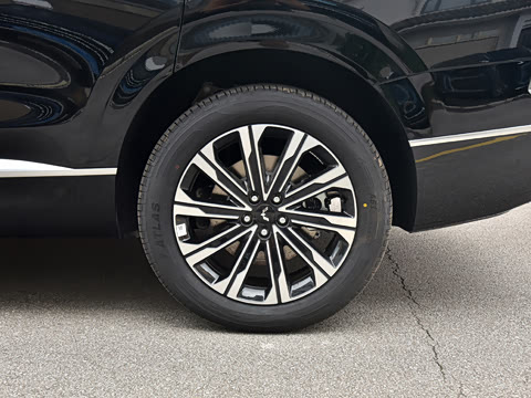 2026�� 260km ����������