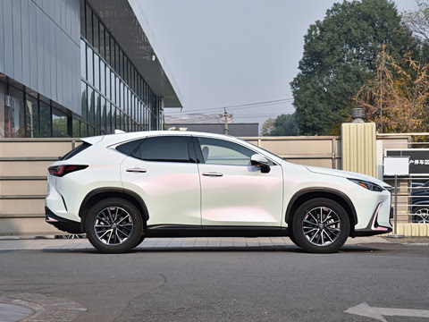 2026�� 200 ��ɫ�޶���