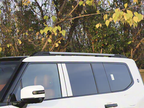 2025�� �Ǿ�Ǭ���� 5��