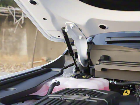 2025�� �Ǿ�Ǭ���� 5��