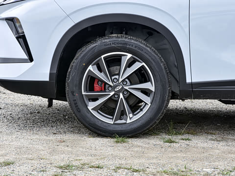 2026�� 1.5T DCT �˶�������