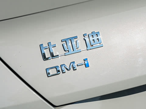 2026�� DM-i 305�콢��