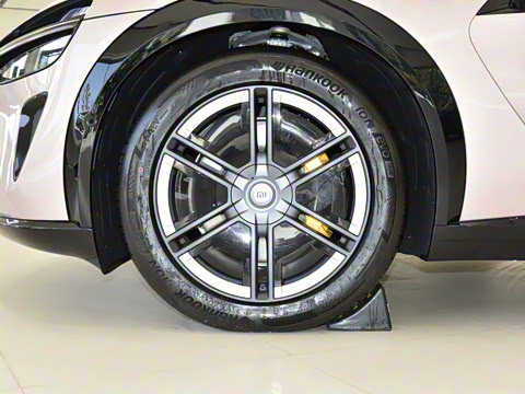 2025�� ������������Pro��