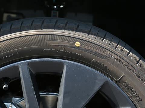 2026�� 305km ���ɰ�