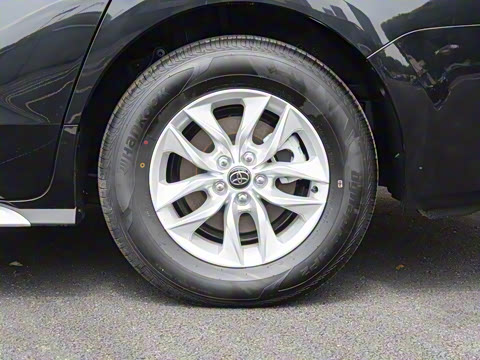 2026�� ������