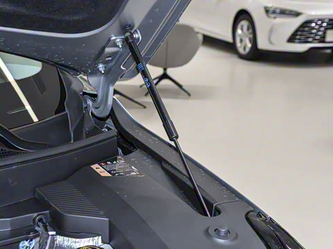 2025�� 545KM������