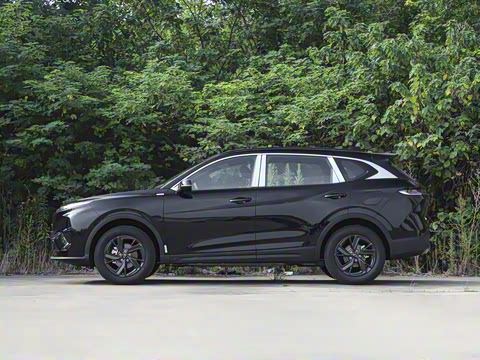 2025�� 150km ��ѡ��