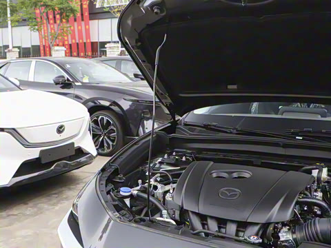 2025�� 2.0L �Զ�������