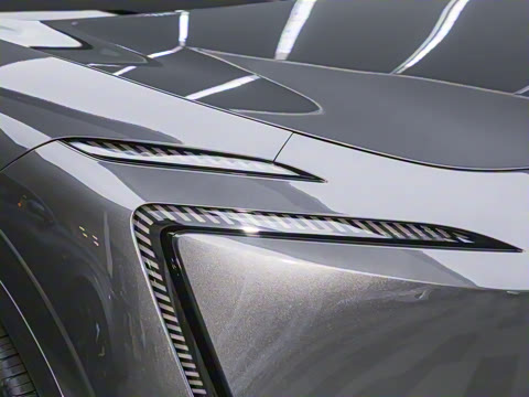 2025�� Max ���������