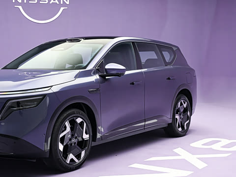 2026�� ���� 81kWh