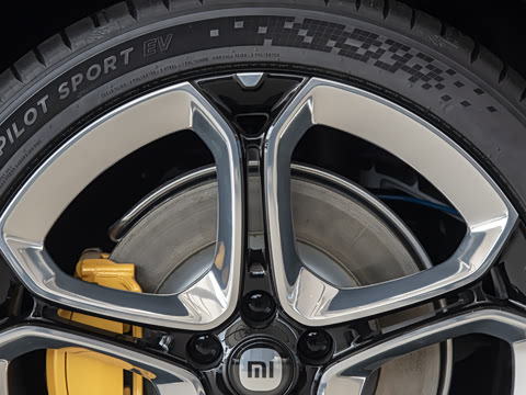 2025�� ������������Pro��