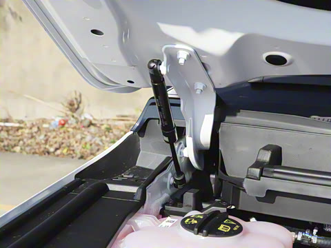 2025�� ������ 5��