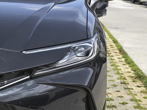 2026�� ˫�� 2.5HG ����