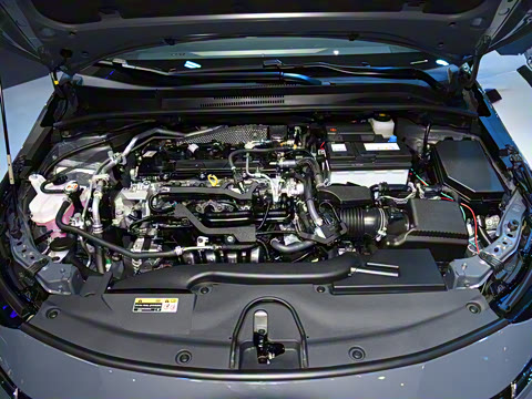 2026�� 2.0L ���� ��Ӣ��