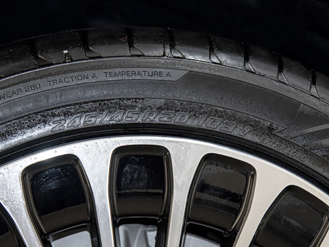 2025�� ���� Max��������