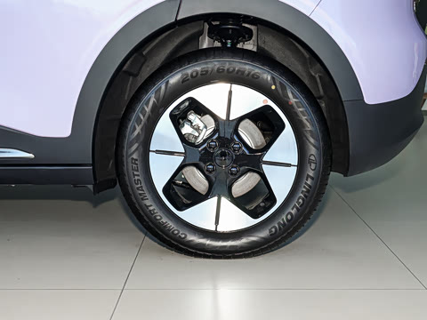 2026�� 310km �˷��