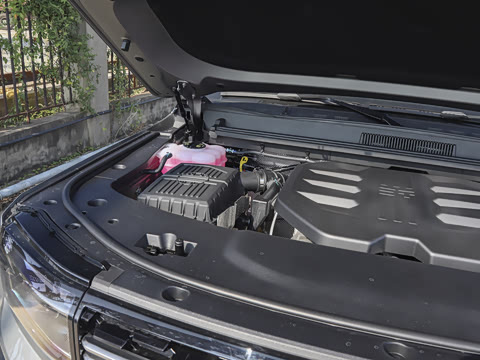 2025�� ��Ұ�� 5��