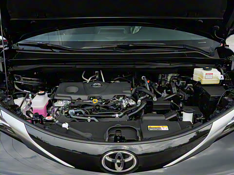 2026�� 2.5L ˫������������