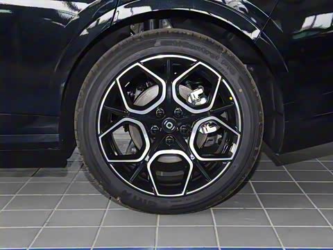 2026�� �����������̰� 310������