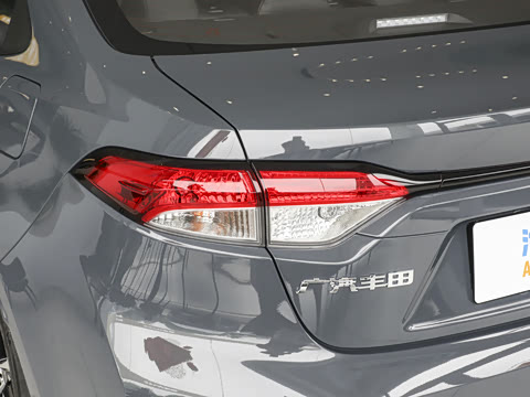 2026�� ����L 185T ������