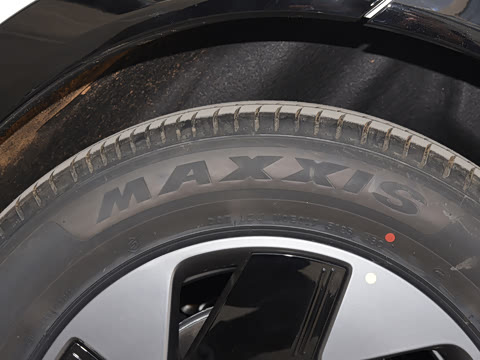 2026�� ���� 602 Max �콢��