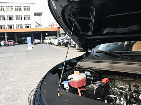2026�� 530km ������