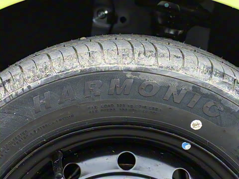 2025�� 205km ʥ����