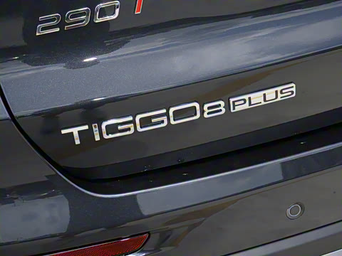 2025�� 290TGDI DCT����� 