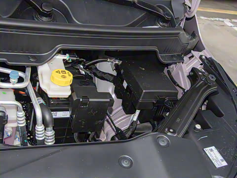 2025�� Plus 510 �Ǻ���