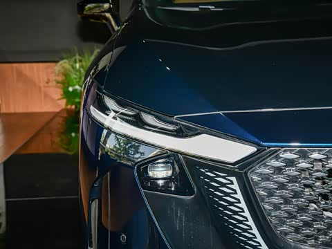 2025�� ����200�����˶���