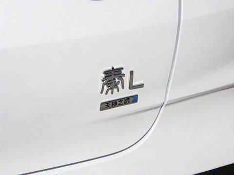 2026�� DM-i 210KM������