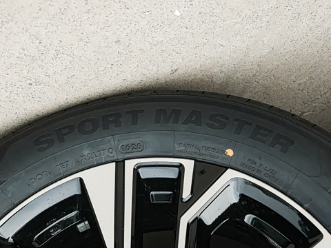 2026�� ���� 310 Max