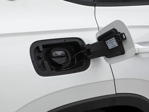 2026�� 300TSI ����ɽ�Ӱ�