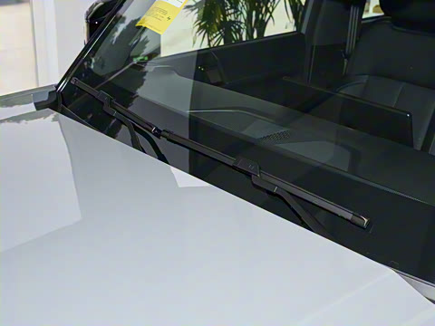 2025�� 520���������