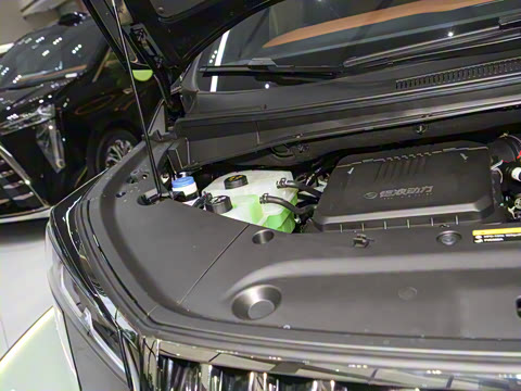 2026�� ��ʦ ������