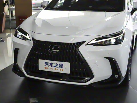 2025�� 350h JOY X