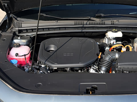 2026�� 60km���ڰ�