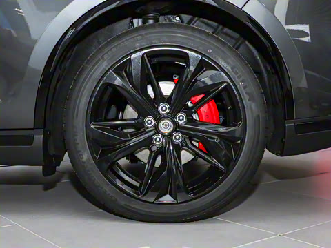 2025�� ����200�����˶���