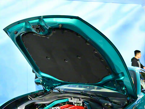 2026�� 3.9T V8 ��׼��