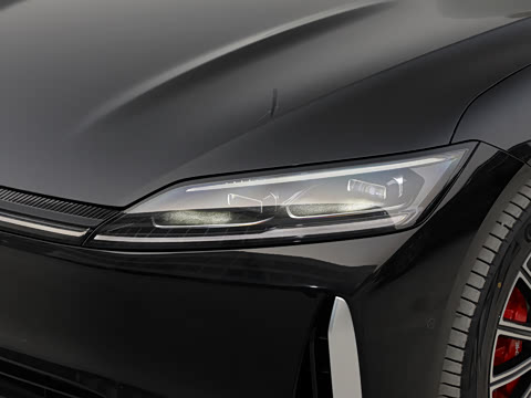 2025�� ��� ����������