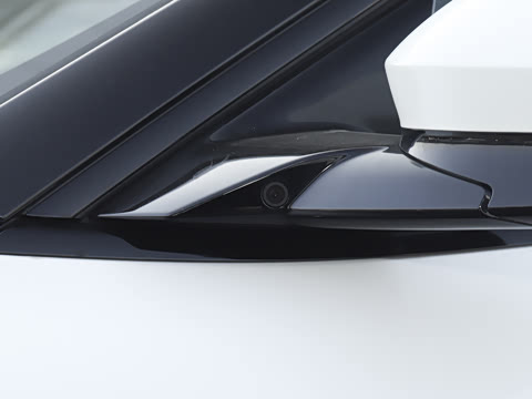 2025�� Elite�����